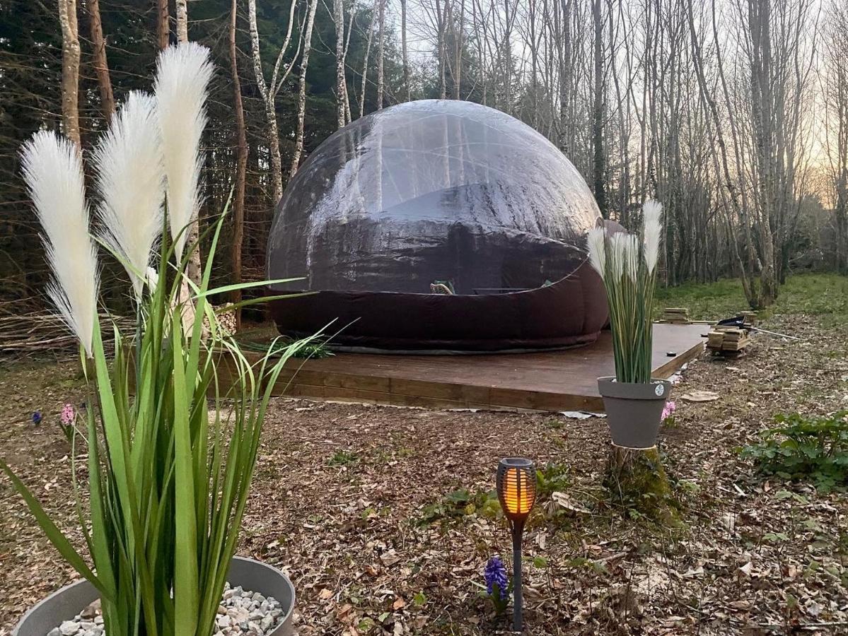 Logement Insolite "Bubble Jungle" Saint-Évarzec Zewnętrze zdjęcie