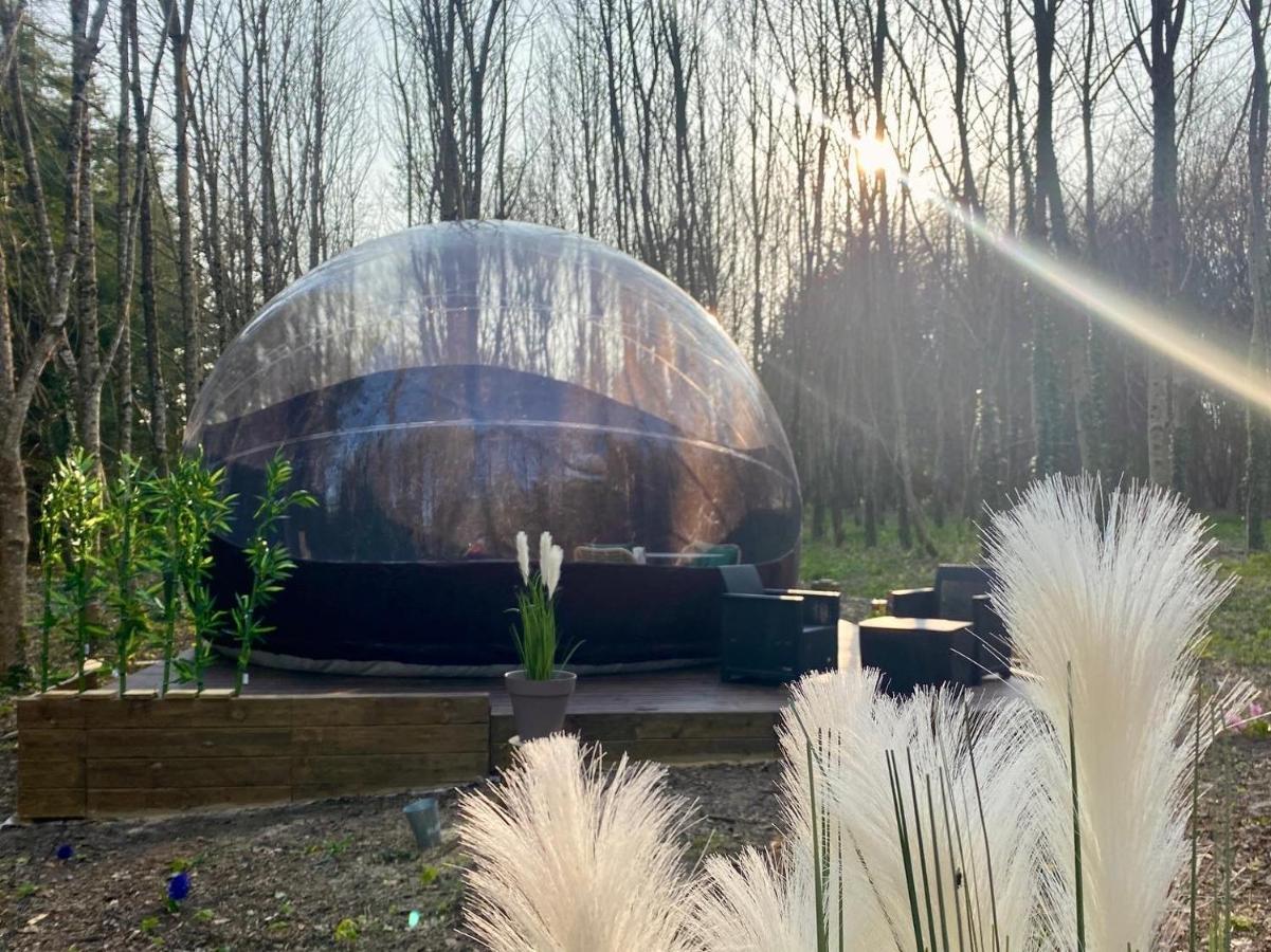 Logement Insolite "Bubble Jungle" Saint-Évarzec Zewnętrze zdjęcie
